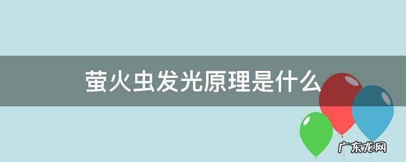 萤火虫发光原理是什么 萤火虫发光原理是物理变化吗