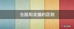 仓鼠还是龙猫 仓鼠和龙猫的区别