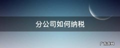 设立分公司如何纳税 分公司如何纳税