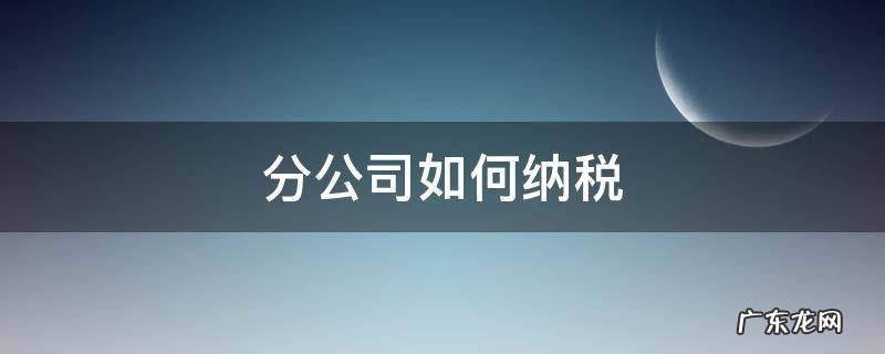 设立分公司如何纳税 分公司如何纳税