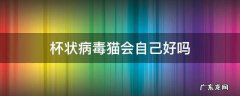 猫会自己得杯状病毒吗 杯状病毒猫会自己好吗
