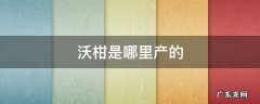 沃柑是哪里产的 沃柑是哪里产的最好