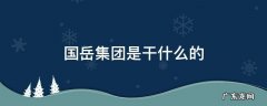 国岳集团是干什么的? 国岳集团是干什么的