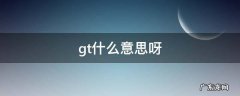 gt什么意思呀 gt的中文意思
