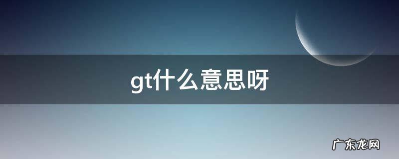 gt什么意思呀 gt的中文意思