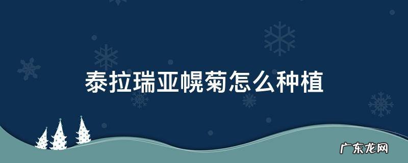 泰拉瑞亚幌菊生长周期 泰拉瑞亚幌菊怎么种植
