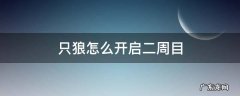 只狼怎么开启二周目 只狼怎么开第二周目