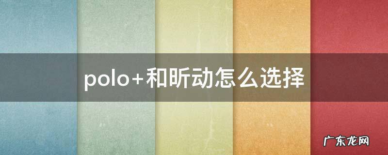 polo 和昕动怎么选择