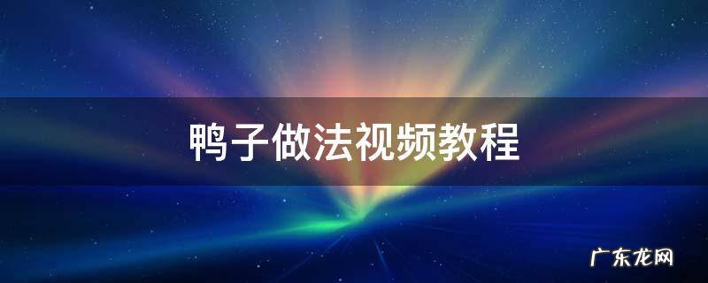鸭子的做法最正宗的做法 鸭子做法视频教程