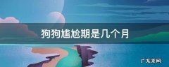 狗狗尴尬期是几个月 泰迪狗狗尴尬期是几个月