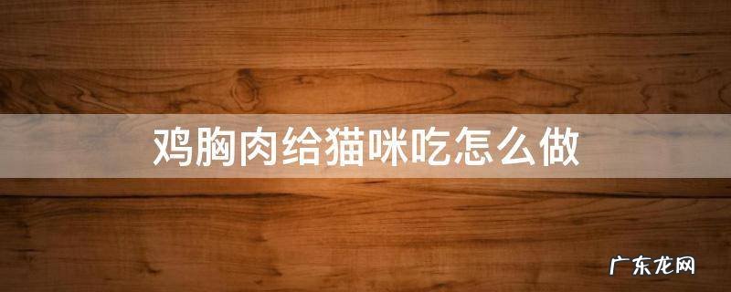 鸡胸肉给猫咪吃怎么做 鸡胸肉怎样做给猫吃