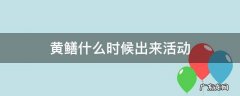 黄鳝晚上几点活动 黄鳝什么时候出来活动
