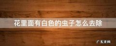 花花上有白色的虫子如何处理 花里面有白色的虫子怎么去除