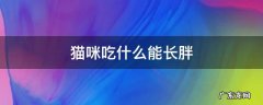 猫咪吃什么能长胖 猫咪吃什么能长胖?