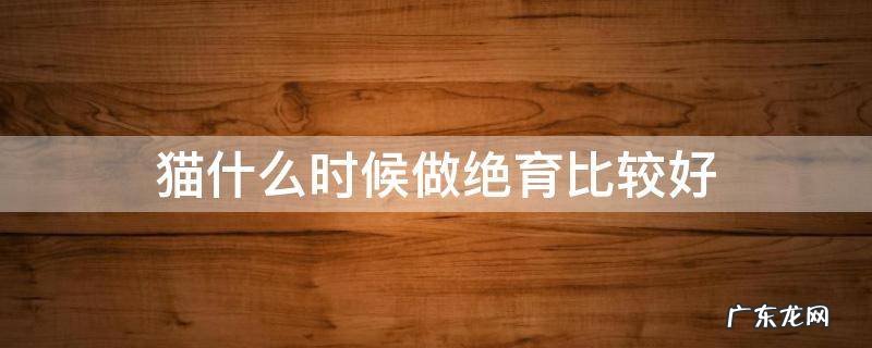 布偶猫什么时候做绝育比较好 猫什么时候做绝育比较好