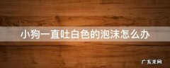 狗狗一直吐白色泡沫 小狗一直吐白色的泡沫怎么办