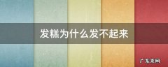 发糕为什么发不起来 为什么我的发糕不发
