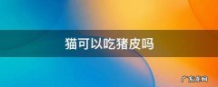 猫可以吃猪皮吗 猫可以吃猪皮吗 煮熟的
