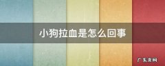 一个月小狗拉血是怎么回事 小狗拉血是怎么回事
