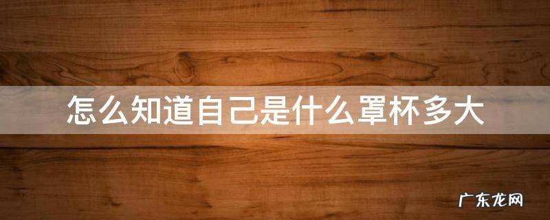 怎么知道自己是什么罩杯多大 怎样知道自己是什么罩杯多大