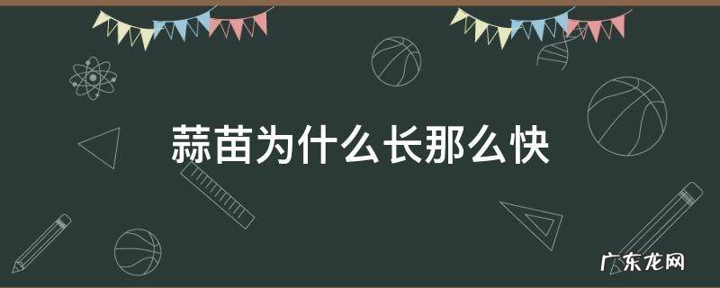 蒜苗为什么长的那么快 蒜苗为什么长那么快