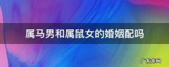 属马男和属鼠女的婚姻配吗 属马男和属鼠女的婚姻相配吗