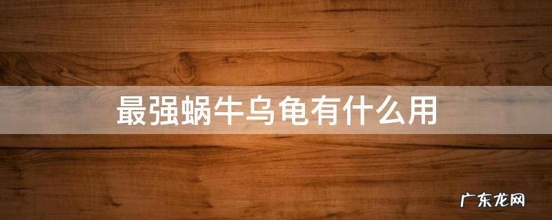 最强蜗牛乌龟有什么用处 最强蜗牛乌龟有什么用