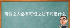 可怜之人必有可恨之处真正的意思 可怜之人必有可恨之处下句是什么
