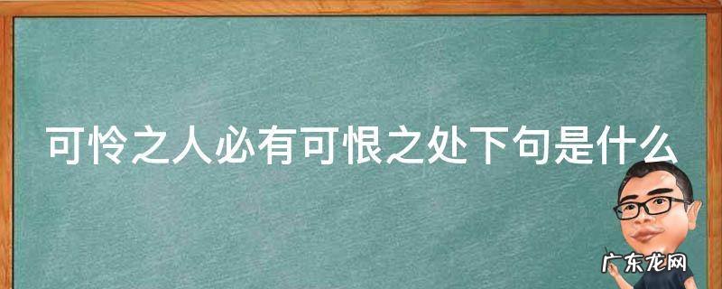 可怜之人必有可恨之处真正的意思 可怜之人必有可恨之处下句是什么