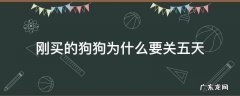 刚买的狗狗为什么要关五天 刚买回来的狗为什么要关一个星期