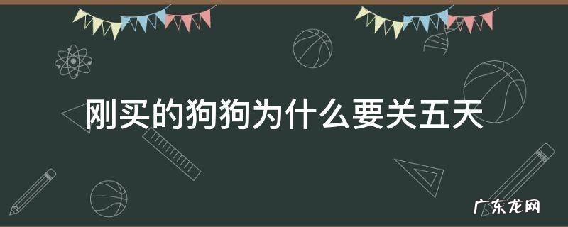 刚买的狗狗为什么要关五天 刚买回来的狗为什么要关一个星期