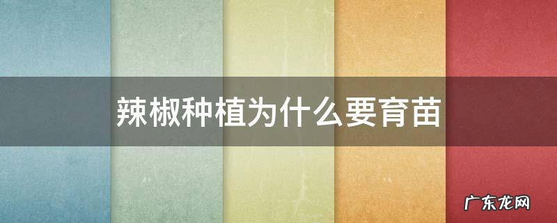 辣椒种植为什么要育苗 辣椒苗要怎么种