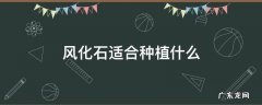 风化石适合种植什么 风化石适合种植什么草