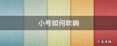 小号如何吹响视频 小号如何吹响