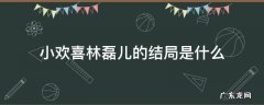 小欢喜林磊儿最后的结局 小欢喜林磊儿的结局是什么