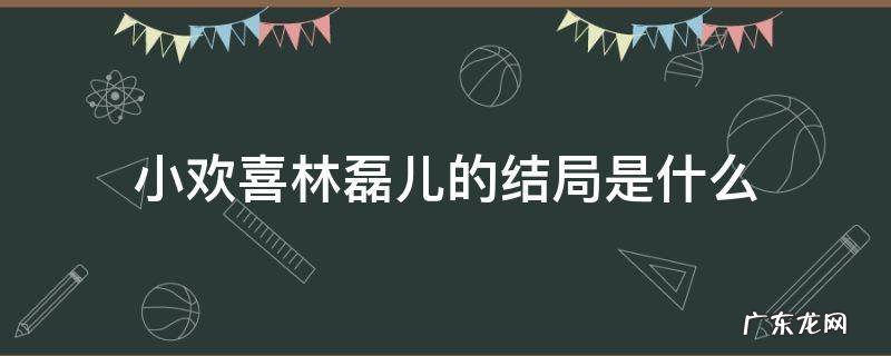 小欢喜林磊儿最后的结局 小欢喜林磊儿的结局是什么