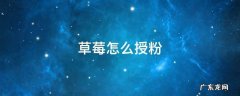 家里种的草莓怎么授粉 草莓怎么授粉