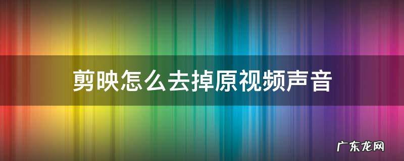 剪映怎么去掉原视频声音 剪映怎么去掉原视频声音保留伴奏