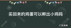 买的鸡蛋能不能孵出小鸡 买回来的鸡蛋可以孵出小鸡吗
