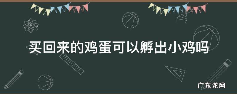 买的鸡蛋能不能孵出小鸡 买回来的鸡蛋可以孵出小鸡吗