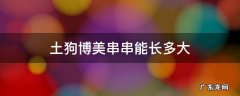 土狗博美串串能长多大 博美土狗串长大图片