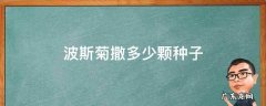 波斯菊的种子怎么种 波斯菊撒多少颗种子