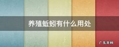 蚯蚓能养什么 养殖蚯蚓有什么用处