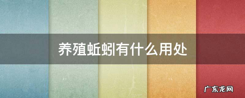 蚯蚓能养什么 养殖蚯蚓有什么用处