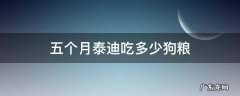 5个月泰迪吃多少狗粮 五个月泰迪吃多少狗粮