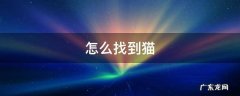 怎么找到猫的宝宝 怎么找到猫