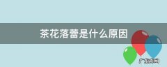 茶花落叶落花蕾是什么原因 茶花落蕾是什么原因