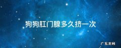 狗狗肛门腺多久挤一次 狗狗肛门腺多久挤一次多少钱