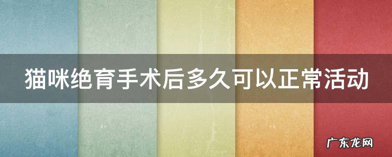 猫咪绝育后多久可以脱手术服 猫咪绝育手术后多久可以正常活动