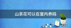 山茶花可以在室内养吗 山茶花室内养还是室外养